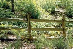 03 woodland-fence