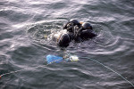 09 dykare testar utrustningen innan dykning