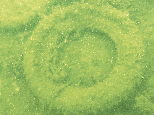 SportDiver_20251026_140245