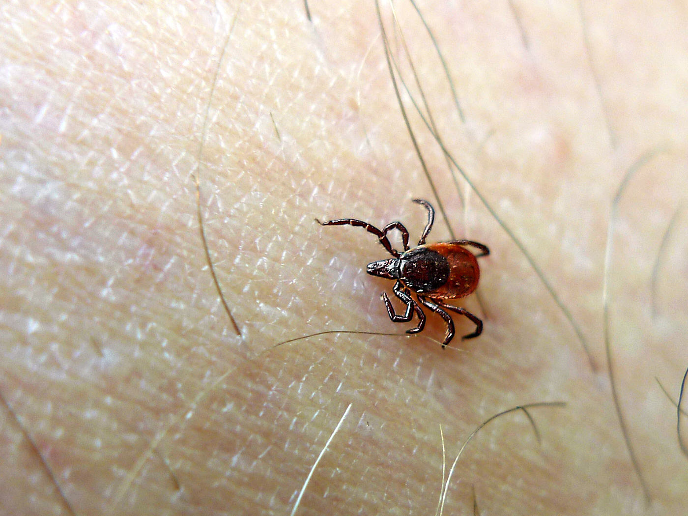 5950099406_fefb3b1864_o